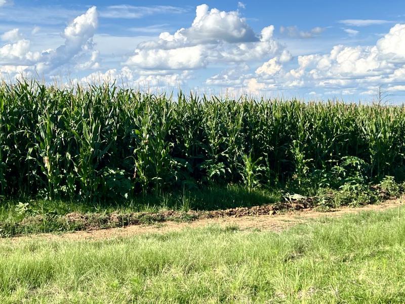 0 Bedroom Property for Sale in Bethlehem Rural Free State